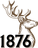 Лідскае 1876